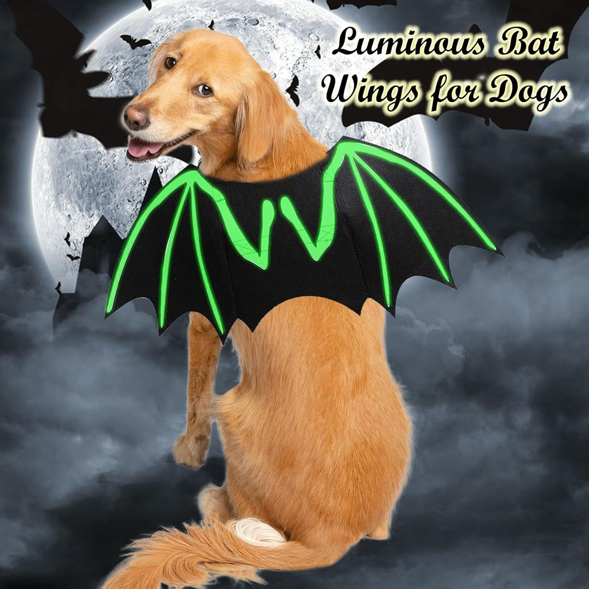 Halloween Bat Wings Costume – Luminous Skeleton Design