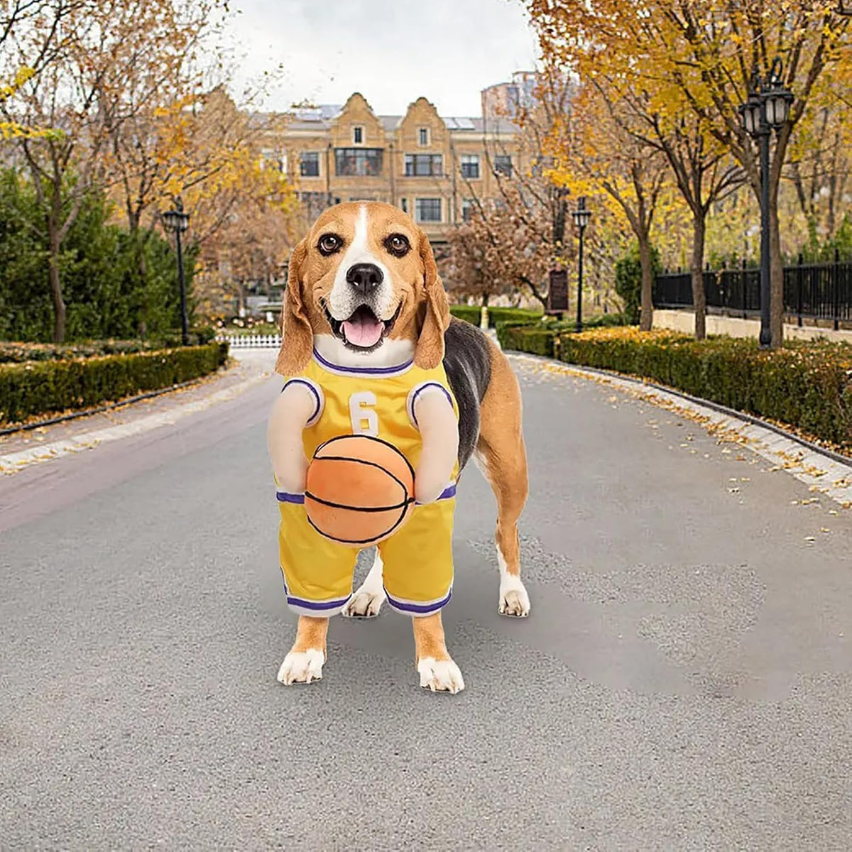Dog Basketball Player Costume – Funny Sports Halloween Outfit