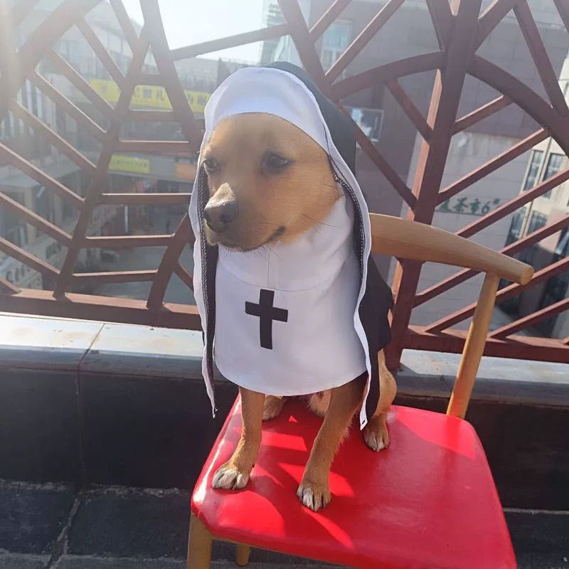 Nun Dog Costume – Black & White Halloween Cosplay Outfit