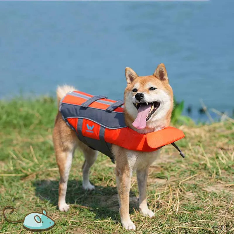 Pet Life Vest for Dogs – Adjustable Swimming & Water Safety Vest