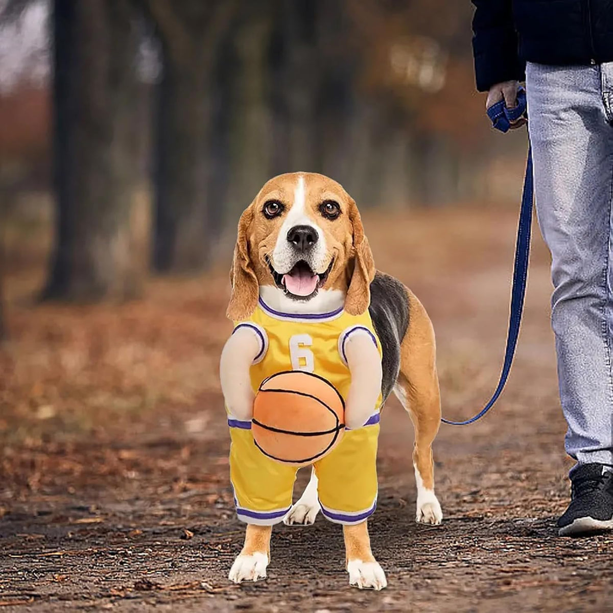 Dog Basketball Player Costume – Funny Sports Halloween Outfit