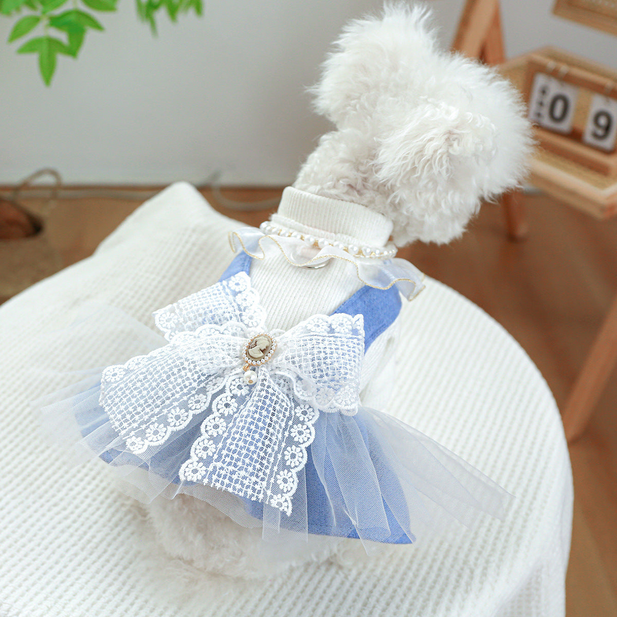 Pearl Lace Pet Dress – Cute Casual Outfit for Dogs & Cats