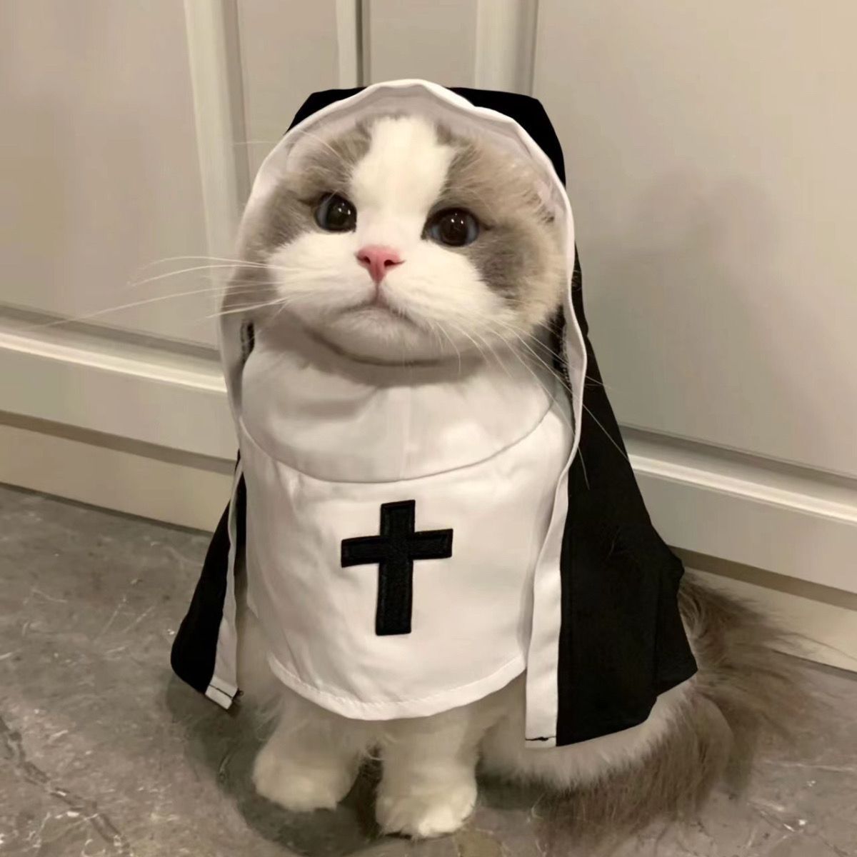 Nun Dog Costume – Black & White Halloween Cosplay Outfit