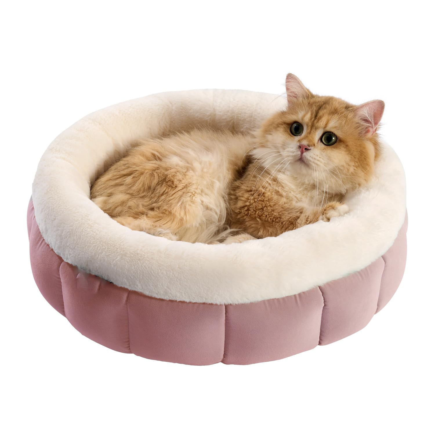 Happy Pet Donut Dog Beds