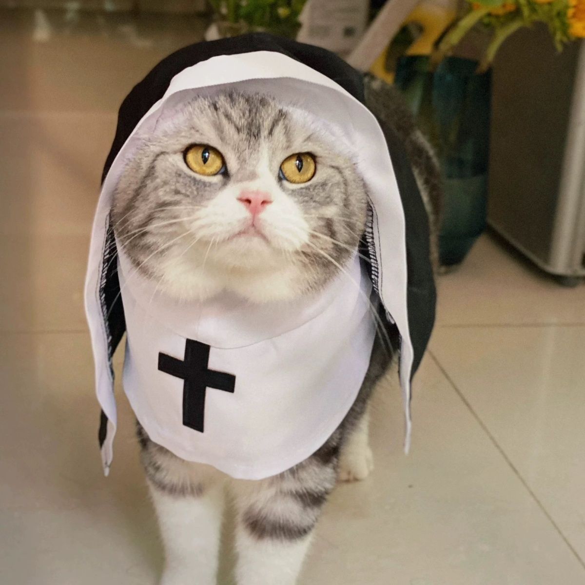 Nun Dog Costume – Black & White Halloween Cosplay Outfit