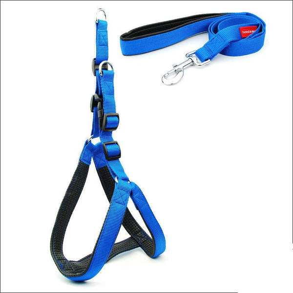 A blue dog padded harness with black straps and a metal buckle, designed for walking and training your dog.