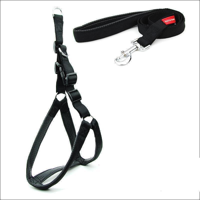 A blue dog padded harness with black straps and a metal buckle, designed for walking and training your dog on white background