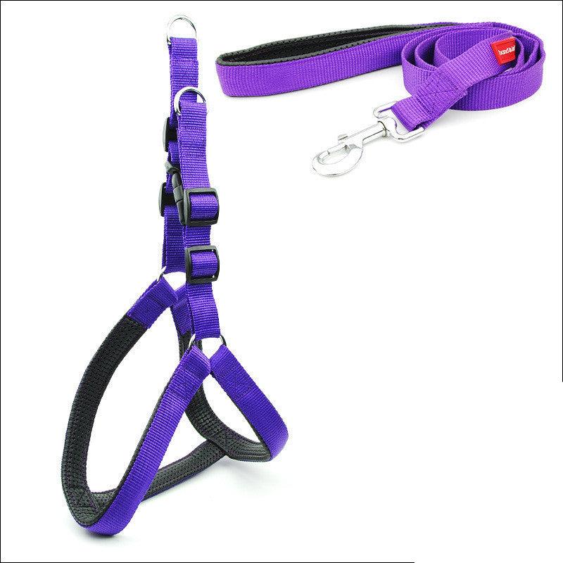 A blue dog padded harness with purple straps and a metal buckle, designed for walking and training your dog.