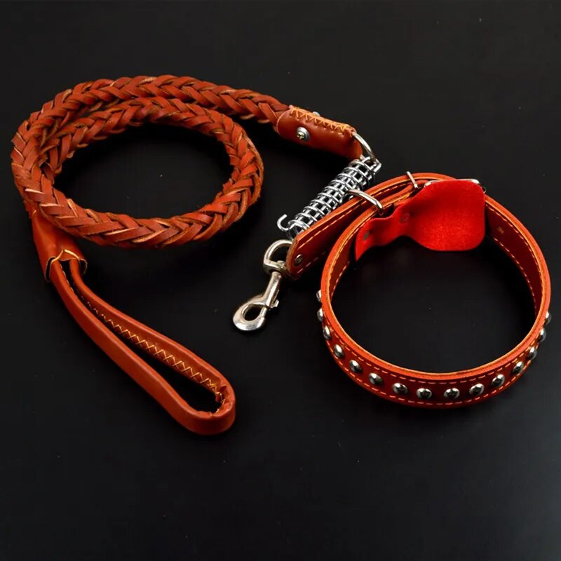 Pet Leather Collar Leash