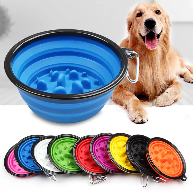 Travel Small Big Dog Slow Food Bowl