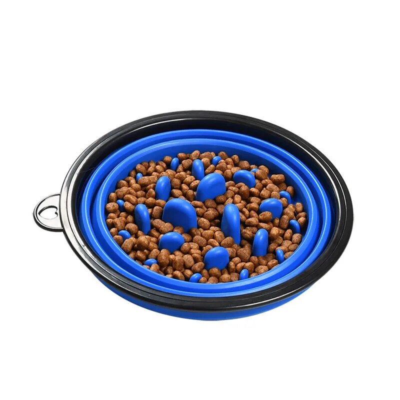 Travel Small Big Dog Slow Food Bowl