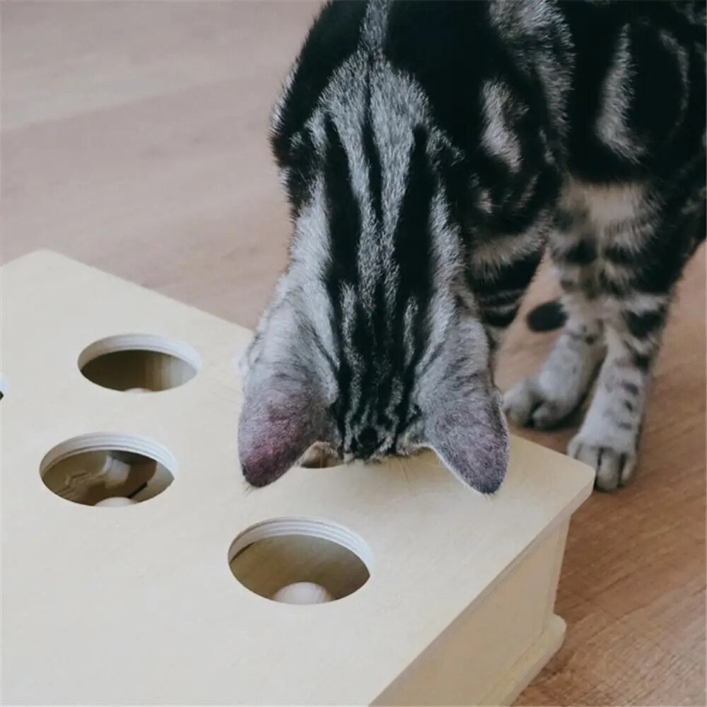 Cat Chase Mouse Solid Wooden Interactive Toy