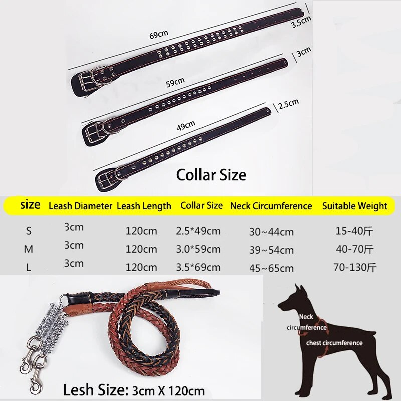 Pet Leather Collar Leash