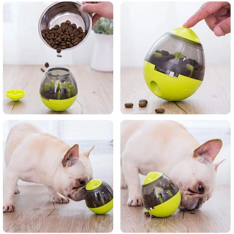 Interactive Cat Toy IQ Treat Ball