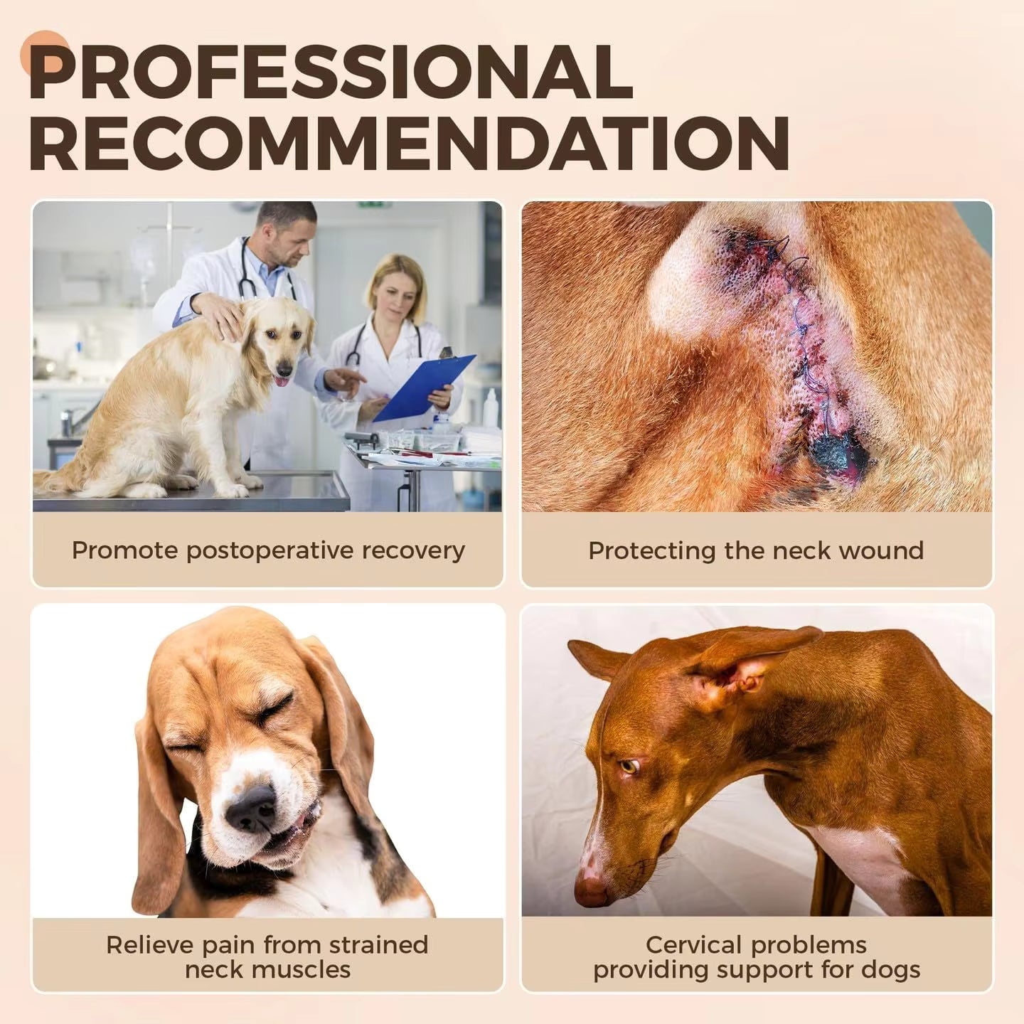 Pet Supplies Dog Neck Brace & Back Support Collar Promotional graphic for a pet care product with images of dogs and text about product benefits.