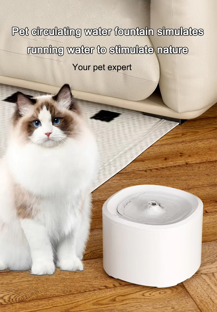 Pet Supplies Eco-Friendly Electric Automatic Pet Water Dispenser Cat sitting next to a pet circulating water fountain on a wooden floor.