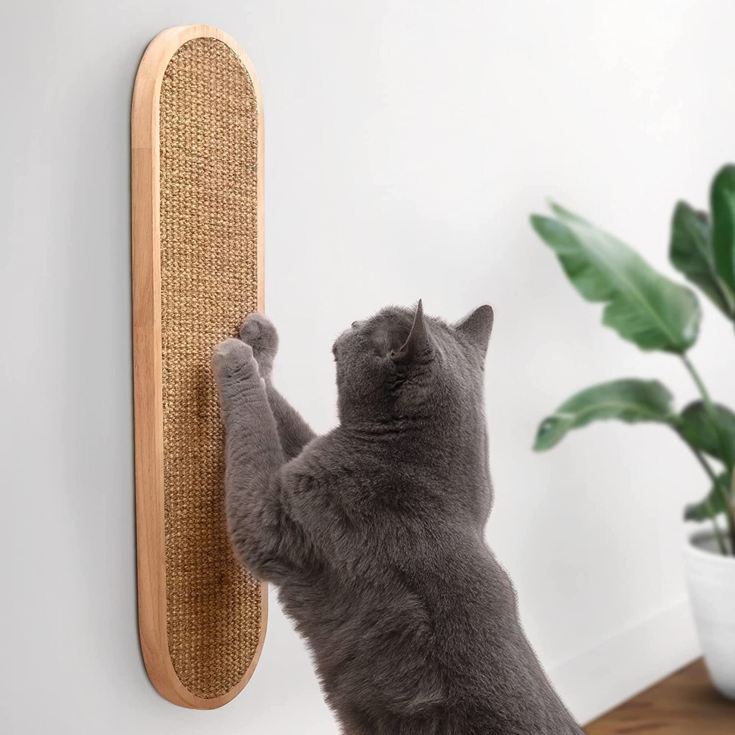 Pet Supplies Happy Pet Cat Scratch Board with the cat touching it on the wall