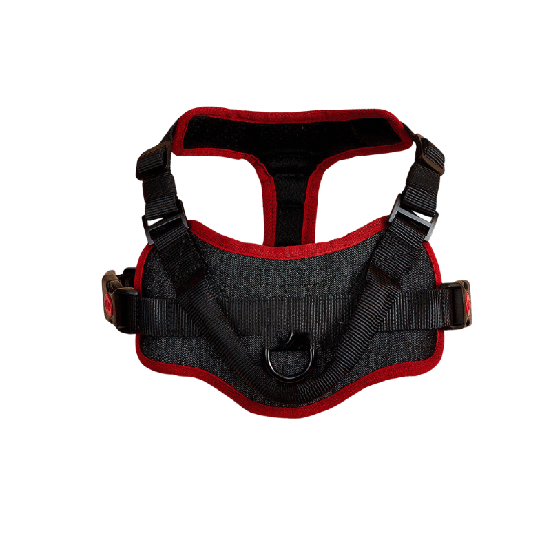 Pet Supplies Happy Pet Soft Padded Vest Harness A black and red soft padded vest harness for pets with adjustable straps and buckles with white background