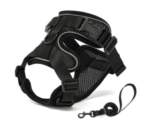 Pet Supplies PawProwl-Walking Cat Harness black walking cat harness with adjustable straps and a leash attachment.