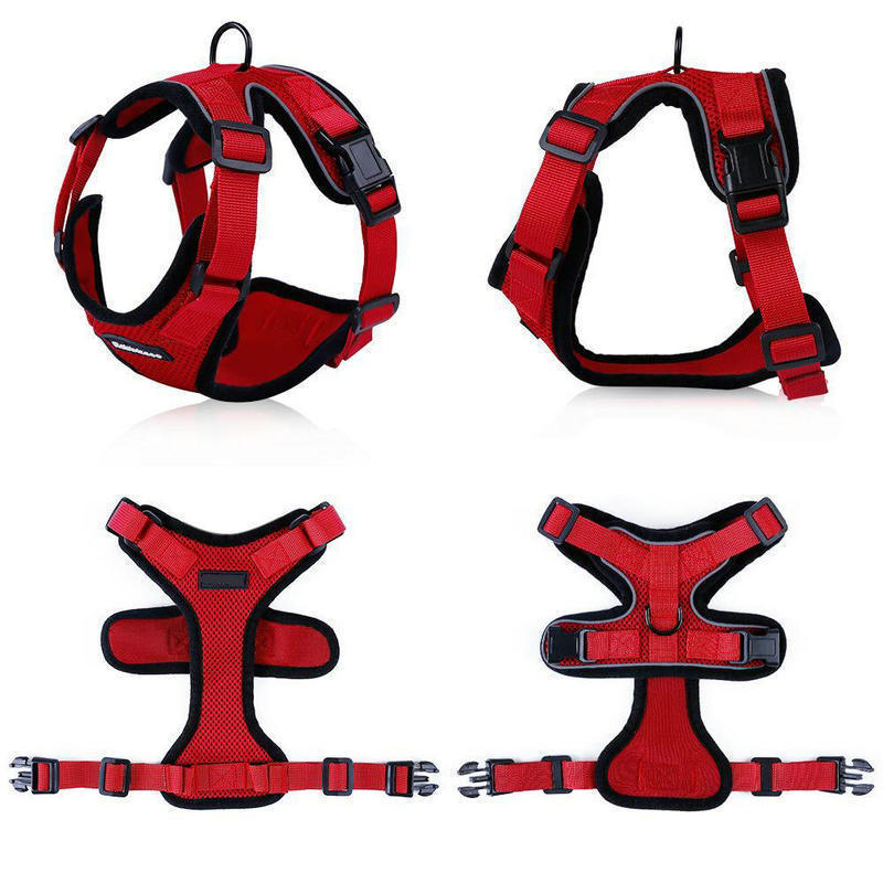 Pet Supplies PawProwl-Walking Cat Harness black walking cat harness with adjustable straps and a leash attachment with white background