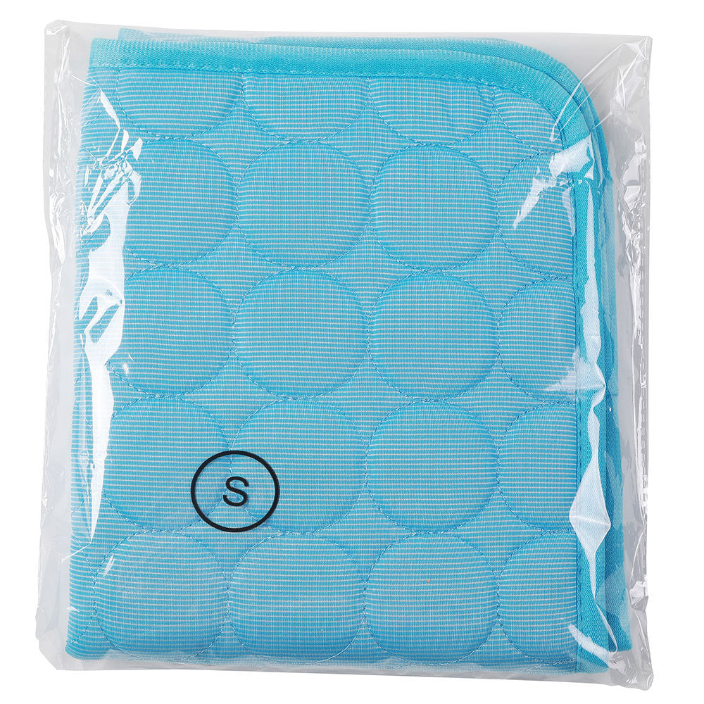 Pet Supplies Pet Mat for Dogs and Cats blue color packed in the nylon