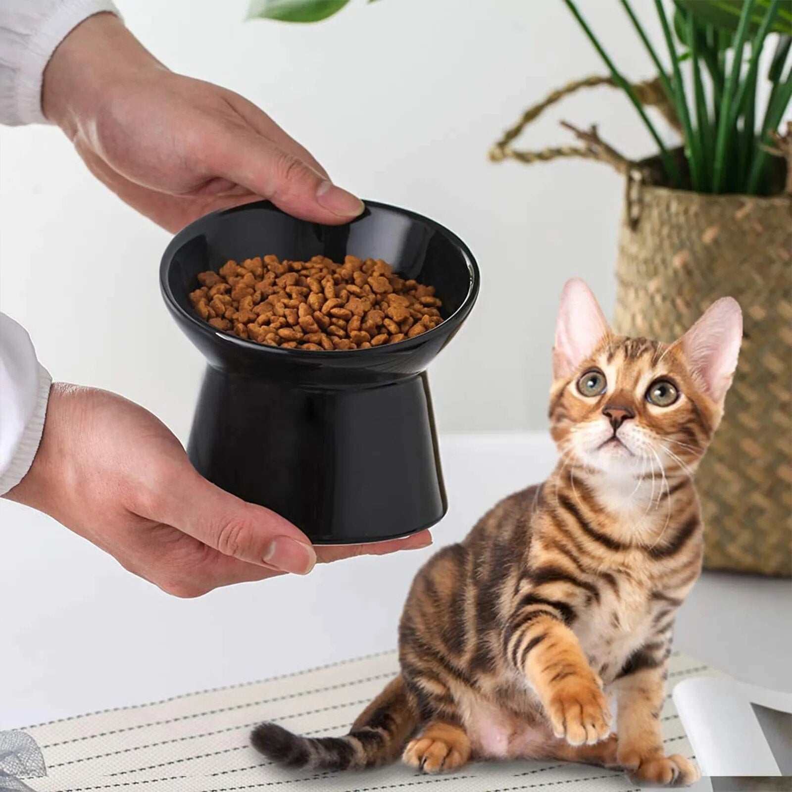 Cat Nordic Style Food Water Bowl