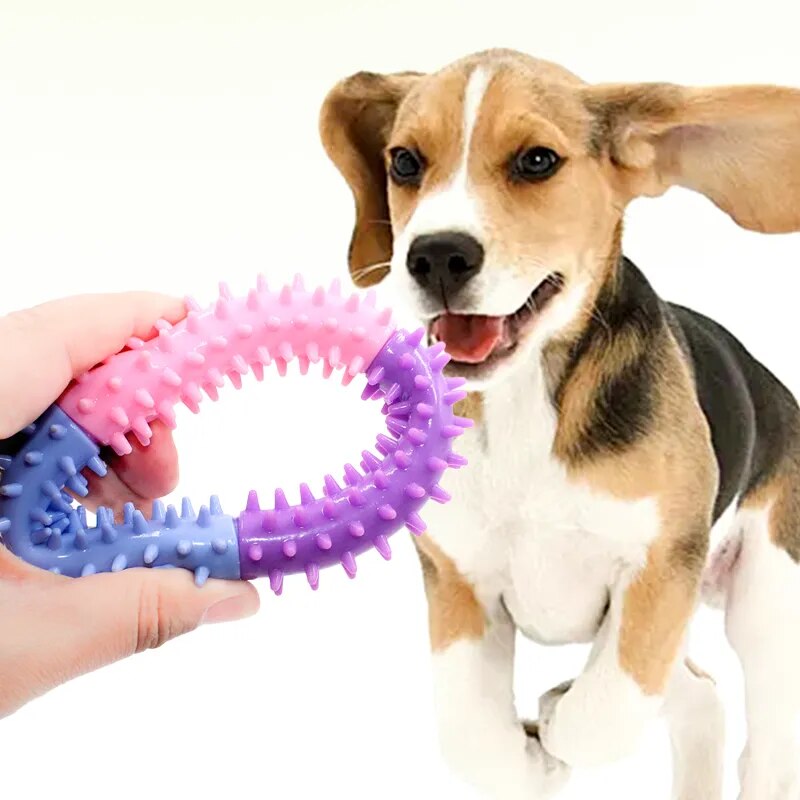 Pet Rubber Thorn Ring Bite Resistant Toys