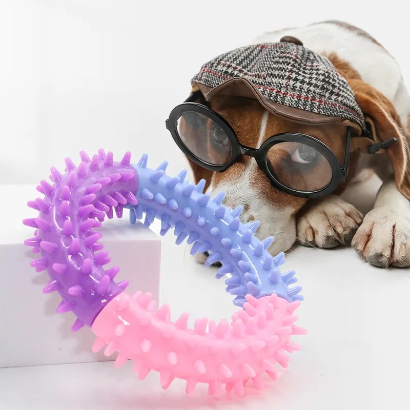 Pet Rubber Thorn Ring Bite Resistant Toys