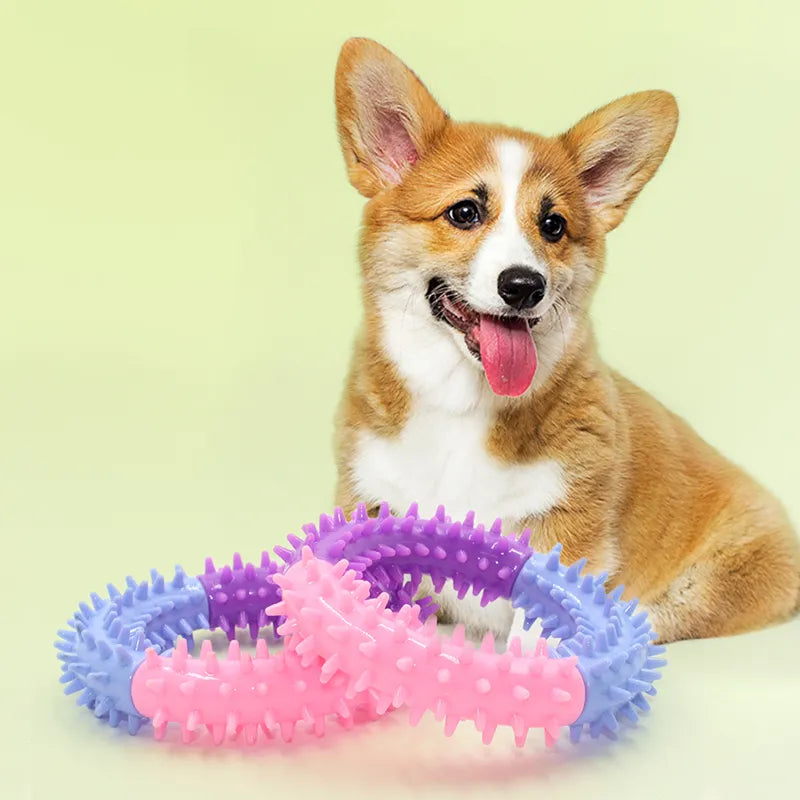 Pet Rubber Thorn Ring Bite Resistant Toys