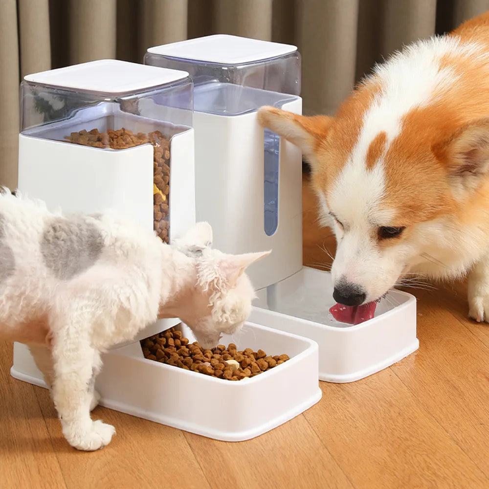 Pet Automatic Feeders Plastic Water Bottle