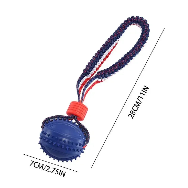 Interactive Teether with Rope