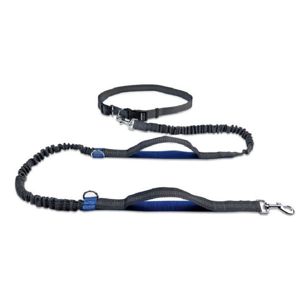 Happy Pet Dog Leash - Durable Comfort-Grip Leash for Daily Walks