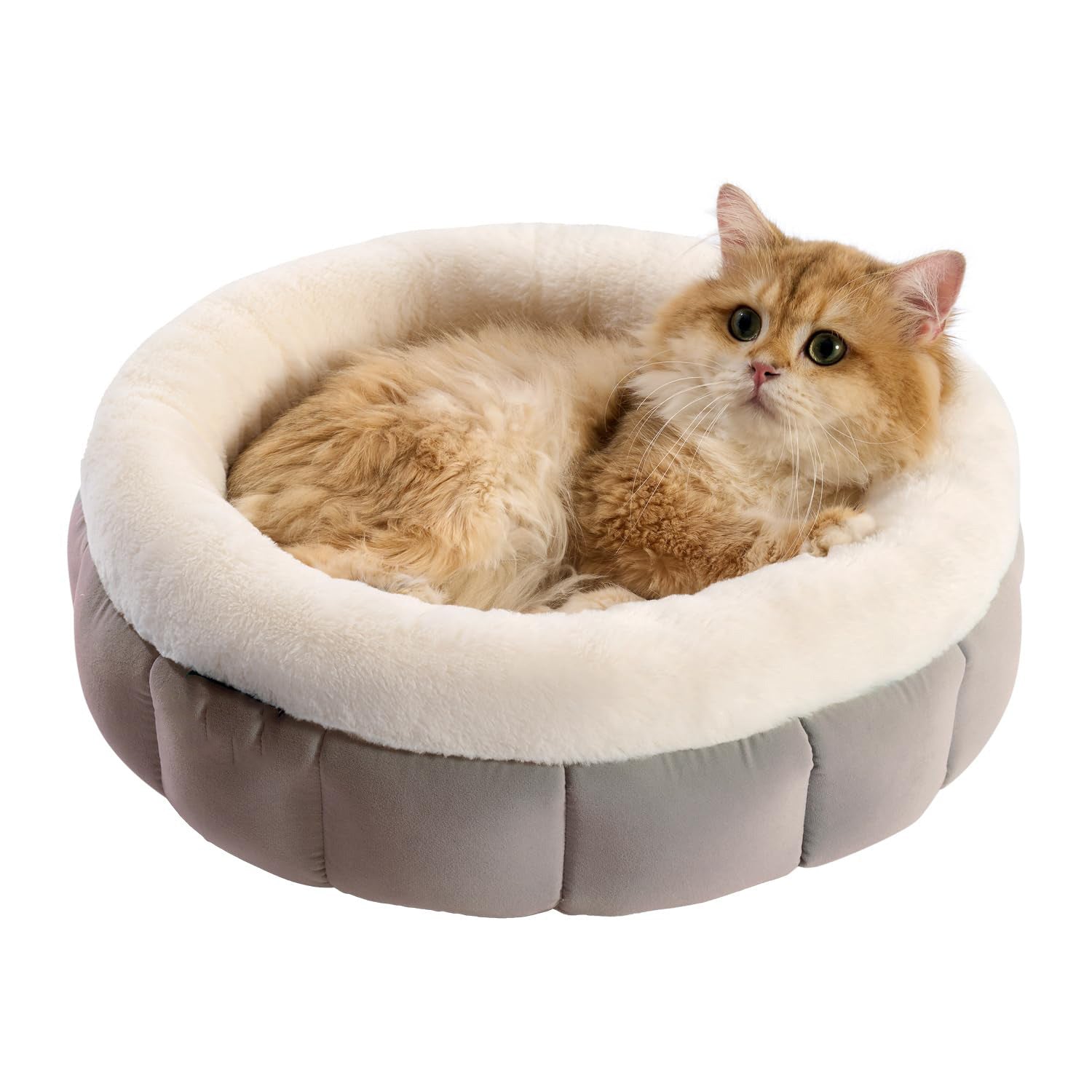 Happy Pet Donut Dog Beds